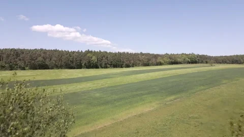 Spring Fields and Blossoming Trees in the Countryside Stock Footage 307512186