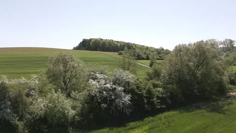 Spring Fields and Blossoming Trees in the Countryside Stock Footage 307512201