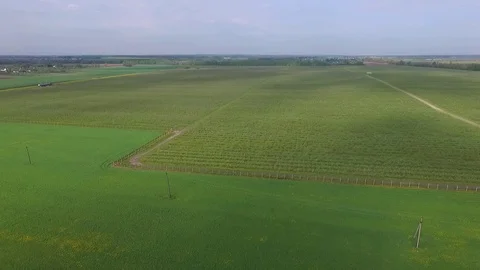 Spring fields and gardens 4 Stock Footage 102051119