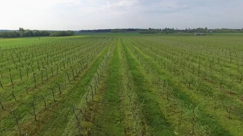 Spring fields and gardens Stock Footage 102051407