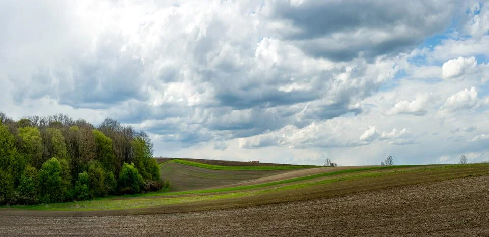 Spring fields, colored lines and hills near the forest under a beautiful sky  Stock Photos