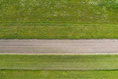Spring fields on the countryside. Stock Photos