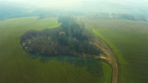 Spring fields Stock Footage 131998908