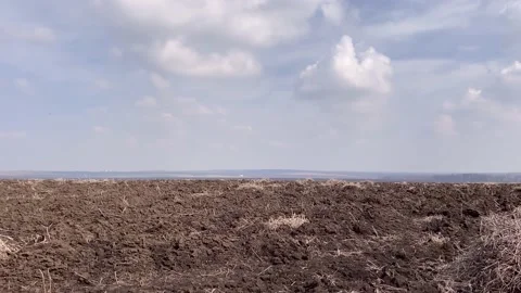 Spring fields Stock Footage 152144237