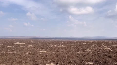 Spring fields Stock Footage 152144261