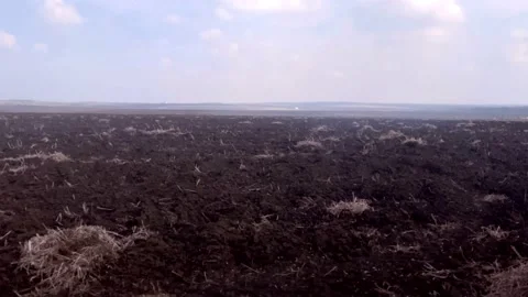 Spring fields Stock Footage 152144264