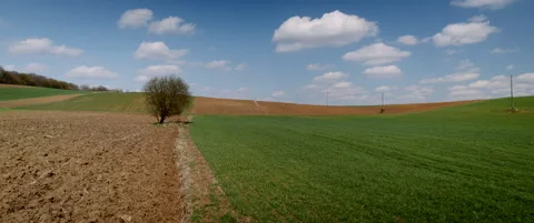 Spring in the Fields Stock Footage 175828130