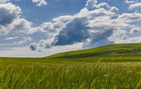 Spring in the fields of Gobustan Stock Photos