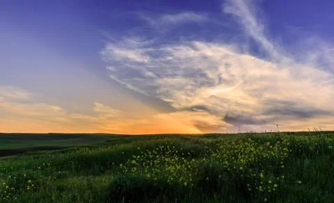 Spring in the fields of Gobustan Stock Photos