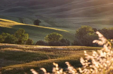 Spring fields on hills and sunset Stock Photos