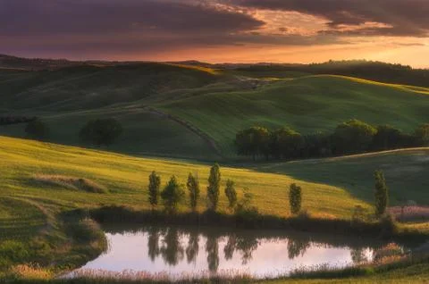 Spring fields on hills and sunset Stock Photos