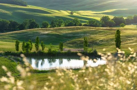Spring fields on hills and sunset Stock Photos