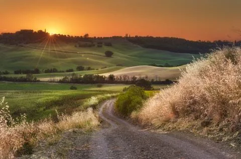 Spring fields on hills and sunset Stock Photos