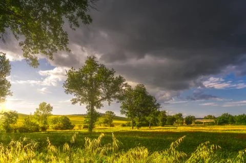 Spring fields on hills and sunset Stock Photos