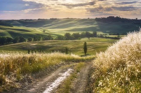 Spring fields on hills and sunset Stock Photos