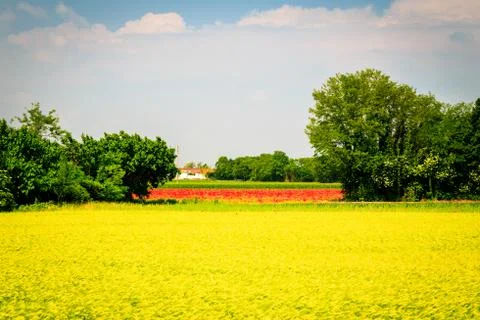 Spring in the fields of Italy Stock Photos