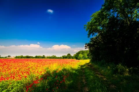 Spring in the fields of Italy Stock Photos