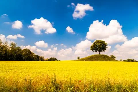 Spring in the fields of Italy Stock Photos