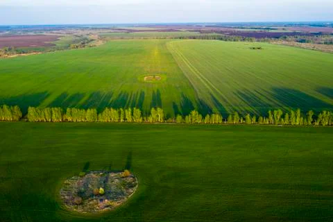 Spring fields, long shadows from landings at sunset from the quadrocopter Stock Photos