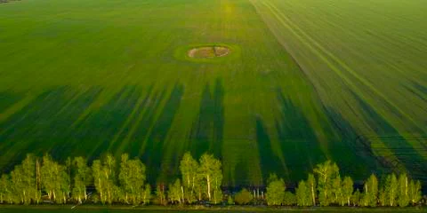 Spring fields, long shadows from landings at sunset from the quadrocopter Stock Photos