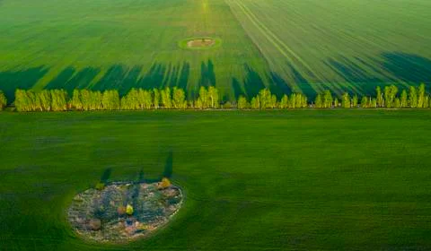 Spring fields, long shadows from landings at sunset from the quadrocopter Stock Photos