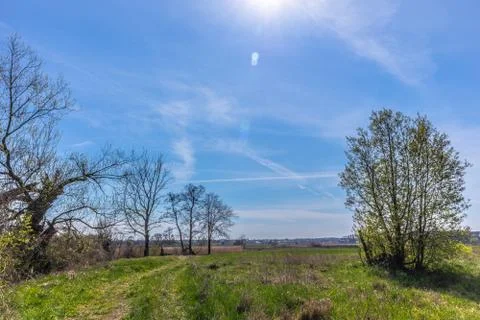 Spring fields in Lubartów Stock Photos