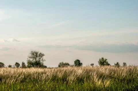 Spring fields, meadows and trees before sunset Stock Photos