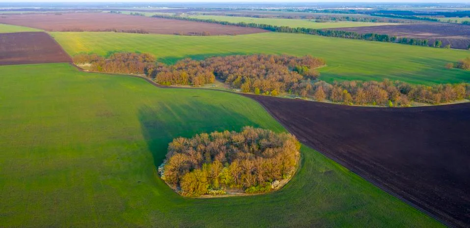 Spring fields, meadows, ravines at sunset from the quadrocopter Foto stock