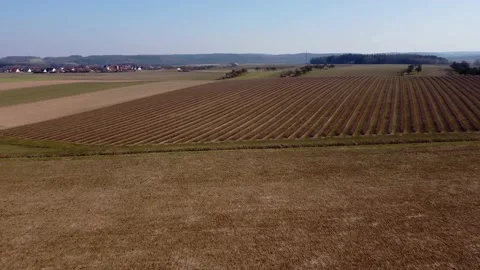 Spring, fields near the village, top view Stock Footage 172057883