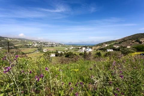 Spring fields Stock Photos