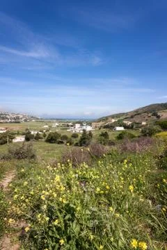 Spring fields Stock Photos