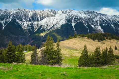 Spring fields scenery with snowy mountains in background, Transylvania, Roman Stock Photos