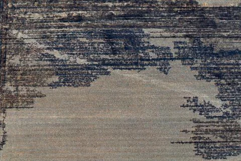 Spring fields texture Foto stock