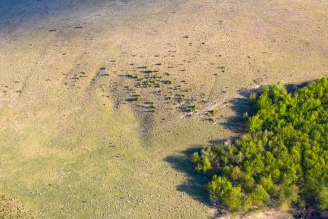 Spring fields top view. Stock Photos
