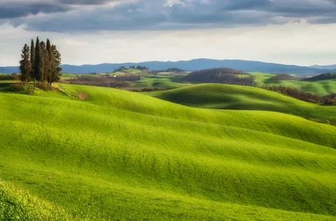 Spring fields in Tuscany Stock Photos
