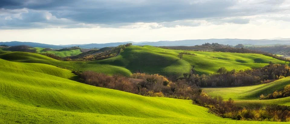 Spring fields in Tuscany 스톡 사진