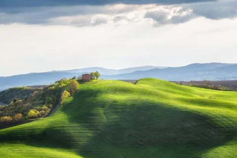 Spring fields in Tuscany 스톡 사진