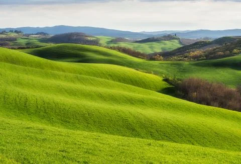 Spring fields in Tuscany Stock Photos