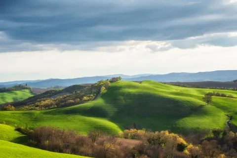 Spring fields in Tuscany 스톡 사진