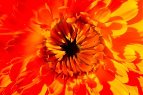 Spring Fire Stock Photos