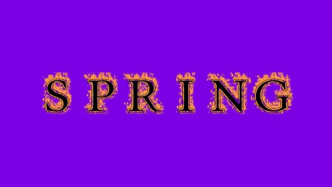 Spring fire text effect violet background Stock Footage 136066484