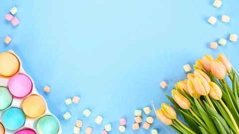 Spring flat lay with fresh yellow tulips colorful eggs on blue background. Ea Stock Photos