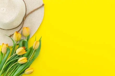 Spring flat lay. yellow tulips on yellow background flat lay. top view of Stock Photos