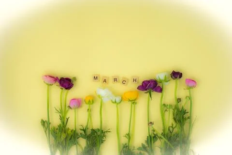 Spring flatlay concept background  with flowers and  march wooden word on yellow Foto stock