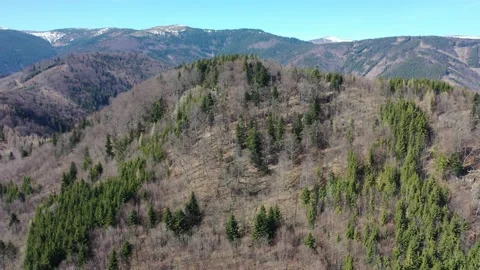 Spring flight around forested hill under High Tatra mountains, Slovakia Stock Footage 137387256