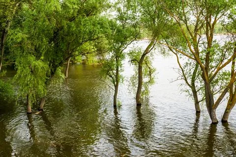 Spring flood on the Don river Stock Photos