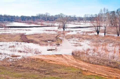 Spring flood. Drowned fields Stock Photos