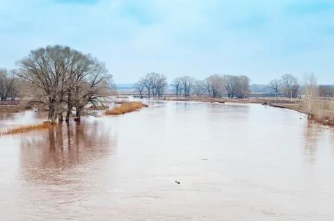 Spring flood. Flat river Stock Photos