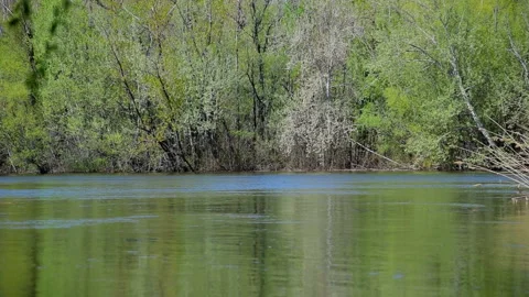 Spring flood. Floating dry grass Stock Footage 89783961