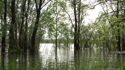 Spring flood, flood, Ob river in Siberia Stock Footage 277323365
